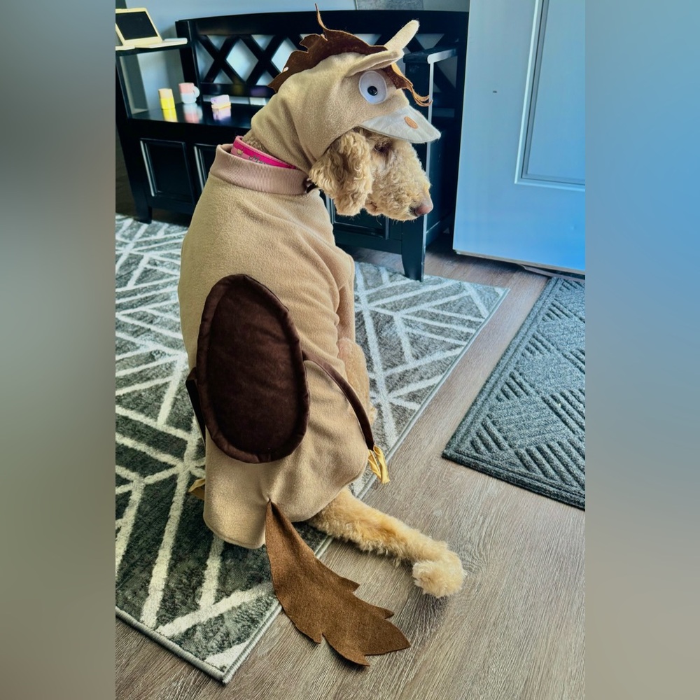 Size large Bullseye from Disney Pixar’s Toy Story dog costume